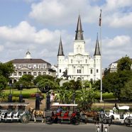 New Orleans Family Fun